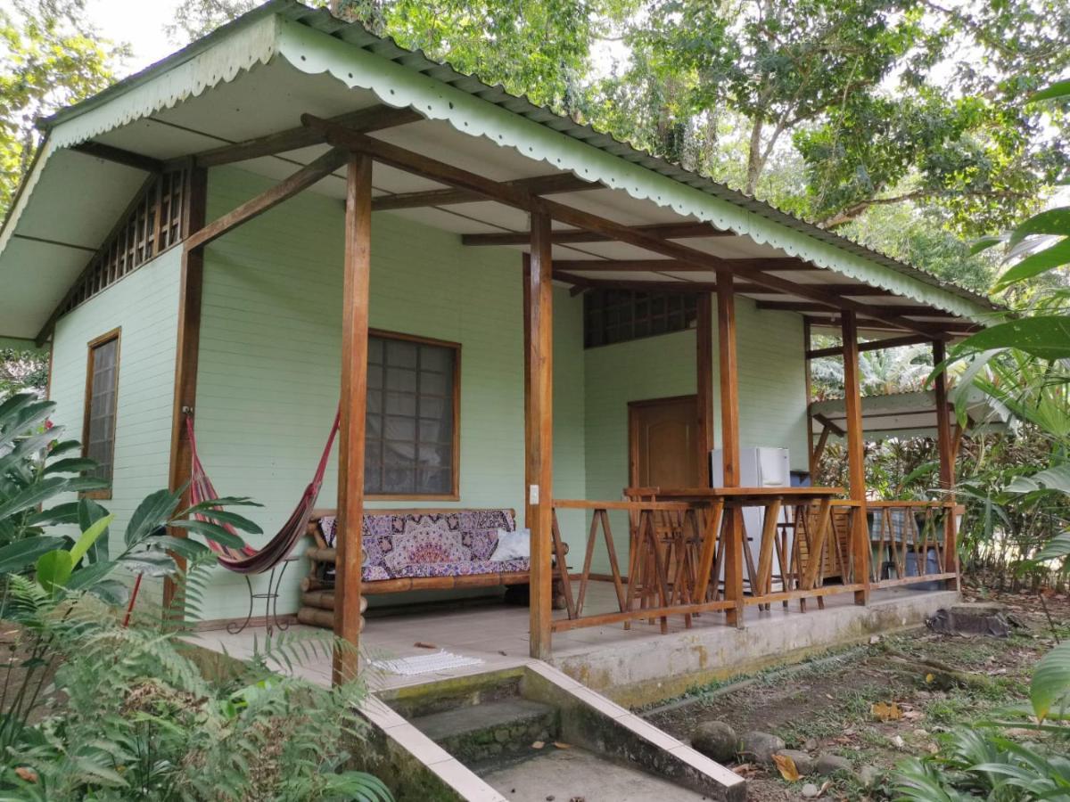 Luna Caribena Village Puerto Viejo de Talamanca Ngoại thất bức ảnh
