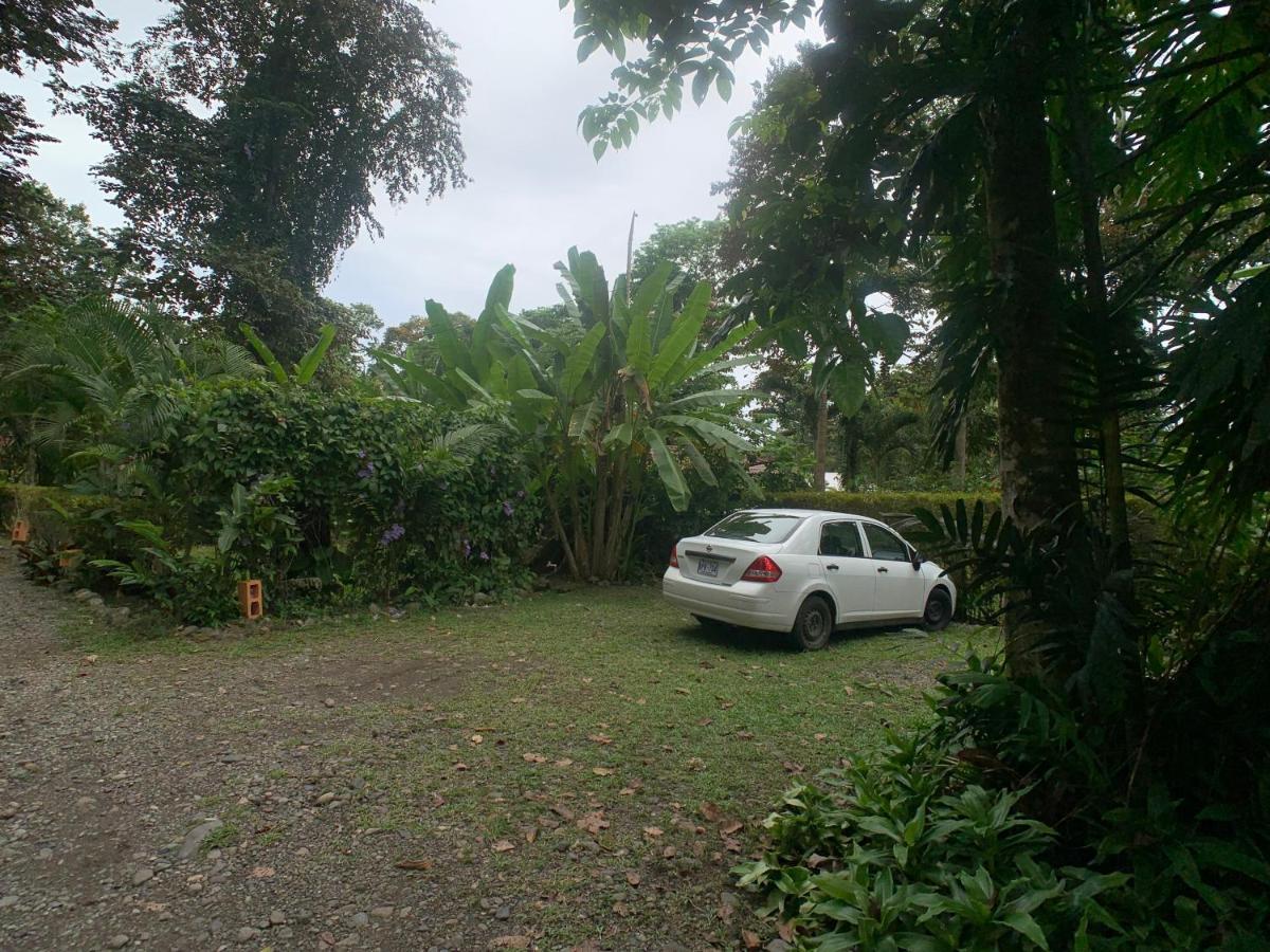 Luna Caribena Village Puerto Viejo de Talamanca Ngoại thất bức ảnh
