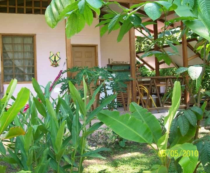 Luna Caribena Village Puerto Viejo de Talamanca Ngoại thất bức ảnh