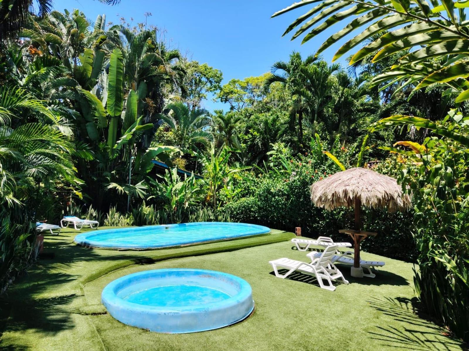 Luna Caribena Village Puerto Viejo de Talamanca Ngoại thất bức ảnh