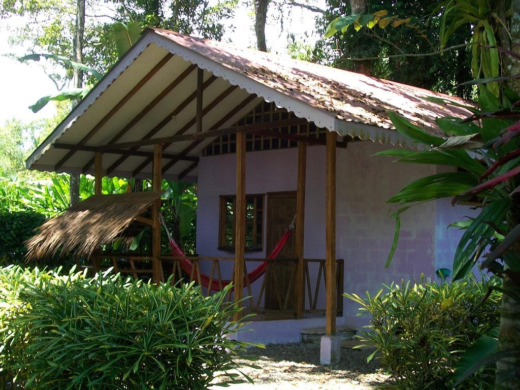 Luna Caribena Village Puerto Viejo de Talamanca Ngoại thất bức ảnh