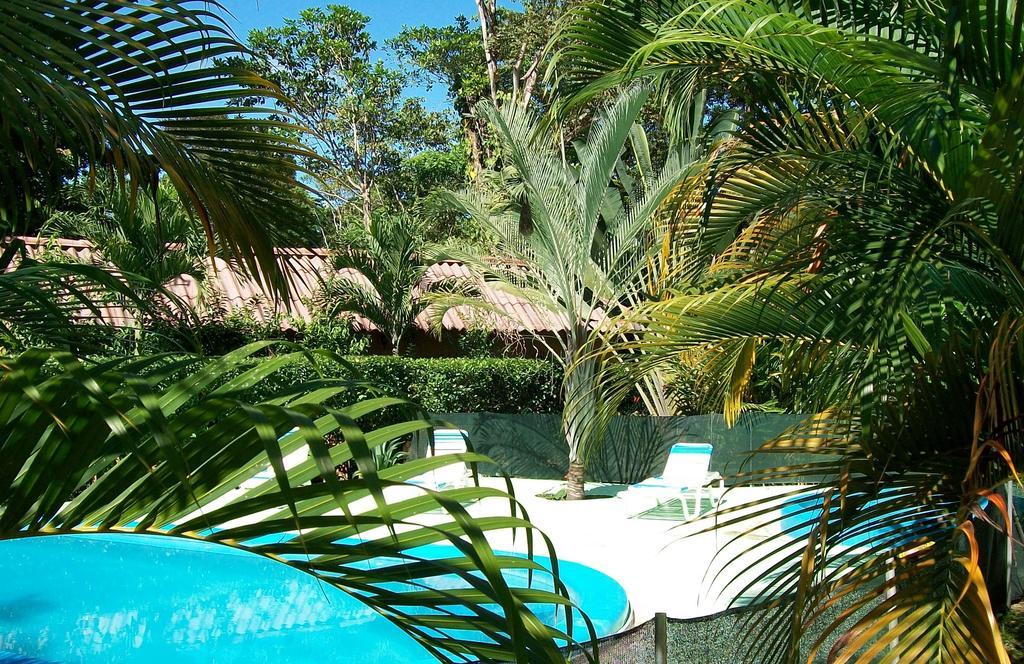 Luna Caribena Village Puerto Viejo de Talamanca Ngoại thất bức ảnh
