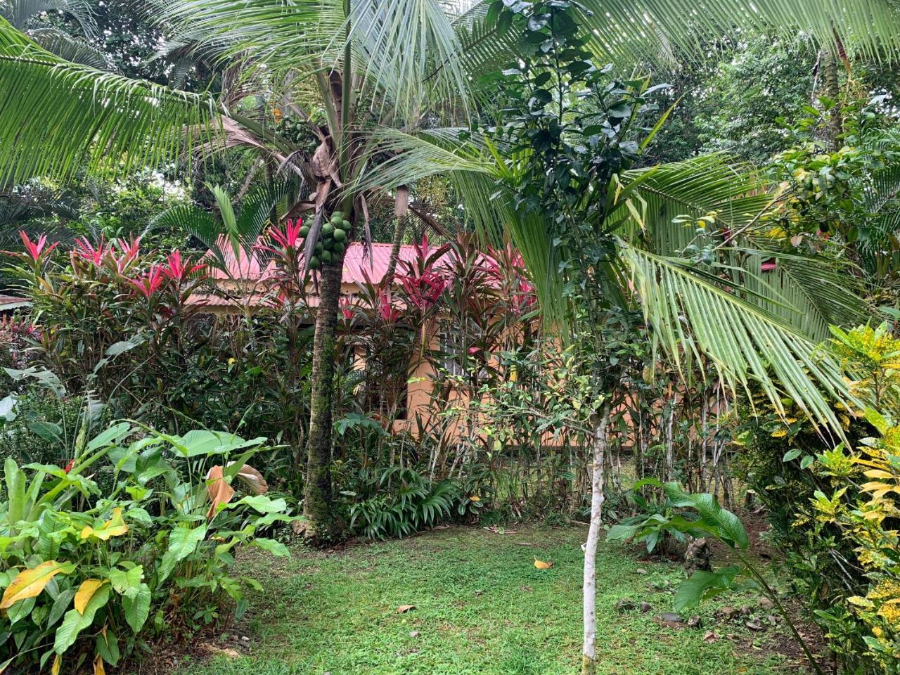 Luna Caribena Village Puerto Viejo de Talamanca Ngoại thất bức ảnh