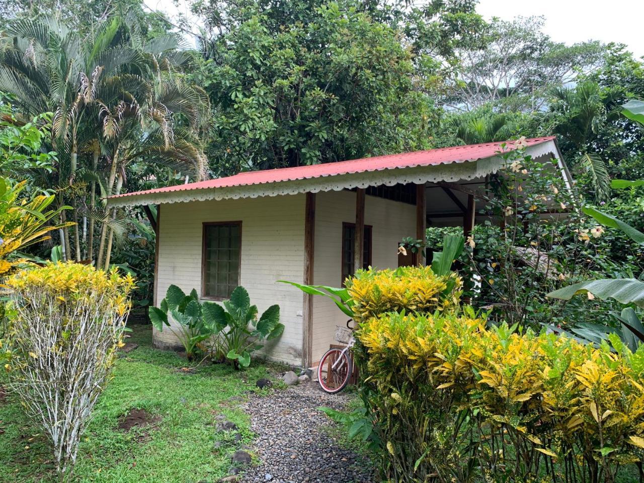 Luna Caribena Village Puerto Viejo de Talamanca Ngoại thất bức ảnh