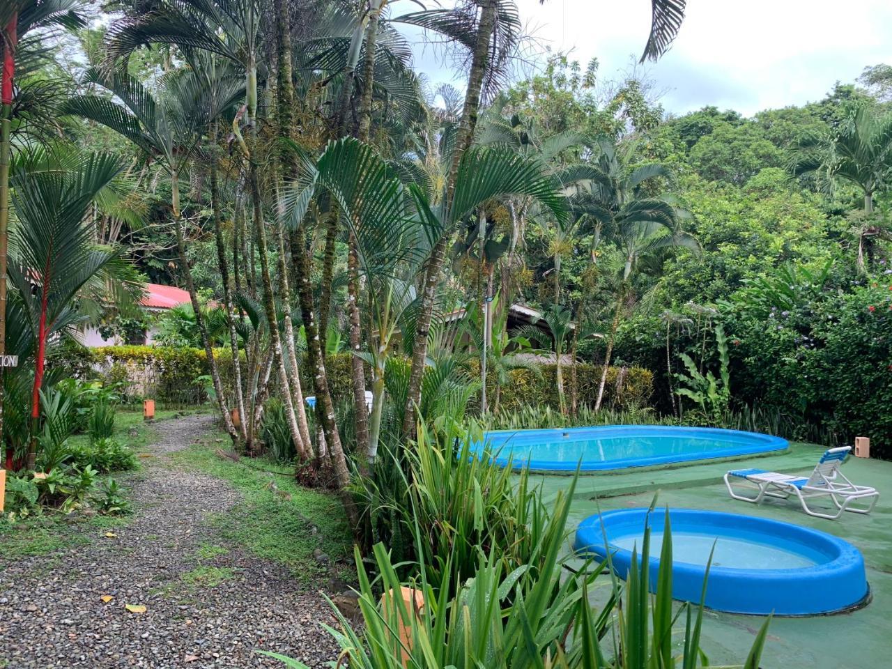 Luna Caribena Village Puerto Viejo de Talamanca Ngoại thất bức ảnh