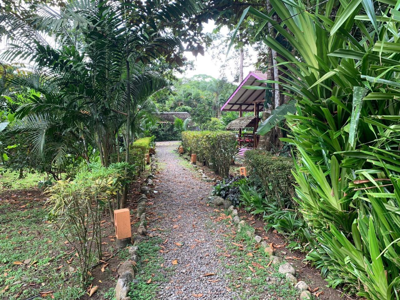 Luna Caribena Village Puerto Viejo de Talamanca Ngoại thất bức ảnh
