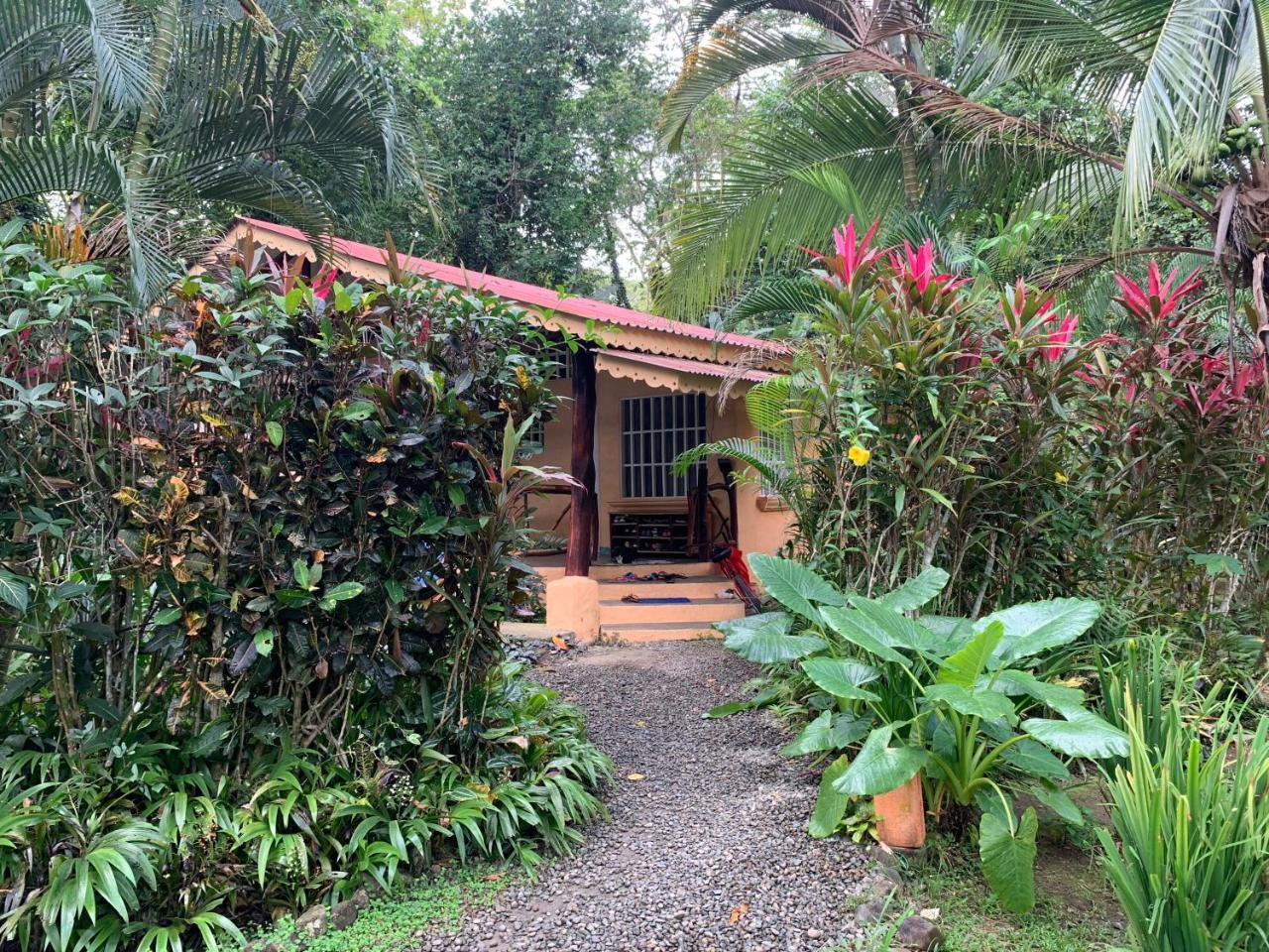 Luna Caribena Village Puerto Viejo de Talamanca Ngoại thất bức ảnh