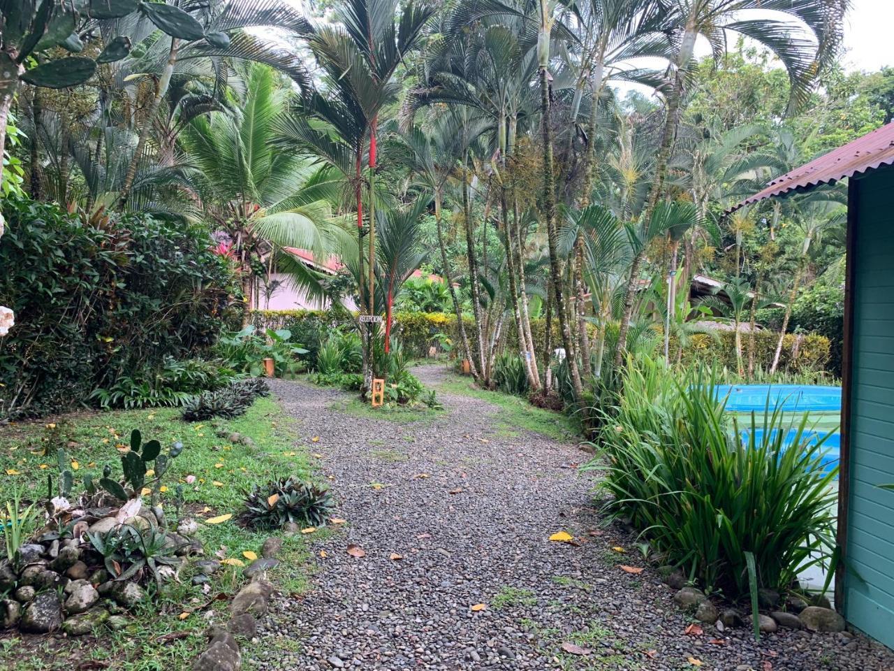 Luna Caribena Village Puerto Viejo de Talamanca Ngoại thất bức ảnh