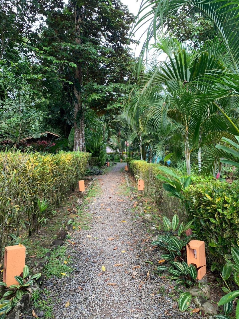 Luna Caribena Village Puerto Viejo de Talamanca Ngoại thất bức ảnh