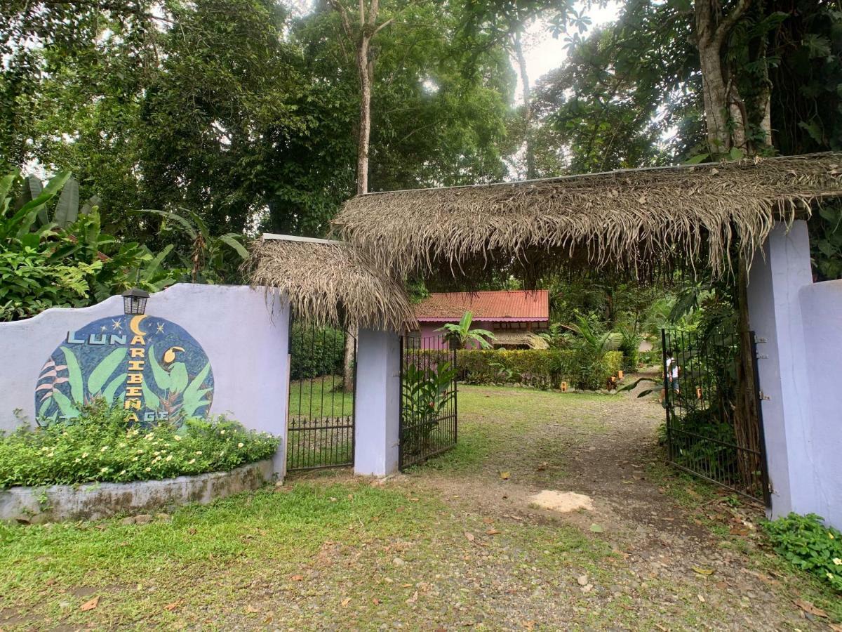 Luna Caribena Village Puerto Viejo de Talamanca Ngoại thất bức ảnh