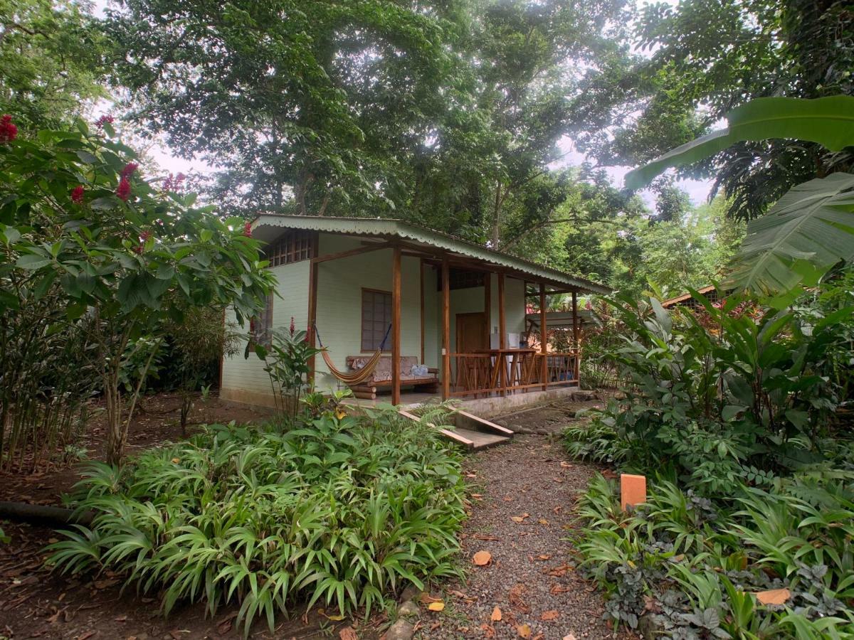 Luna Caribena Village Puerto Viejo de Talamanca Ngoại thất bức ảnh