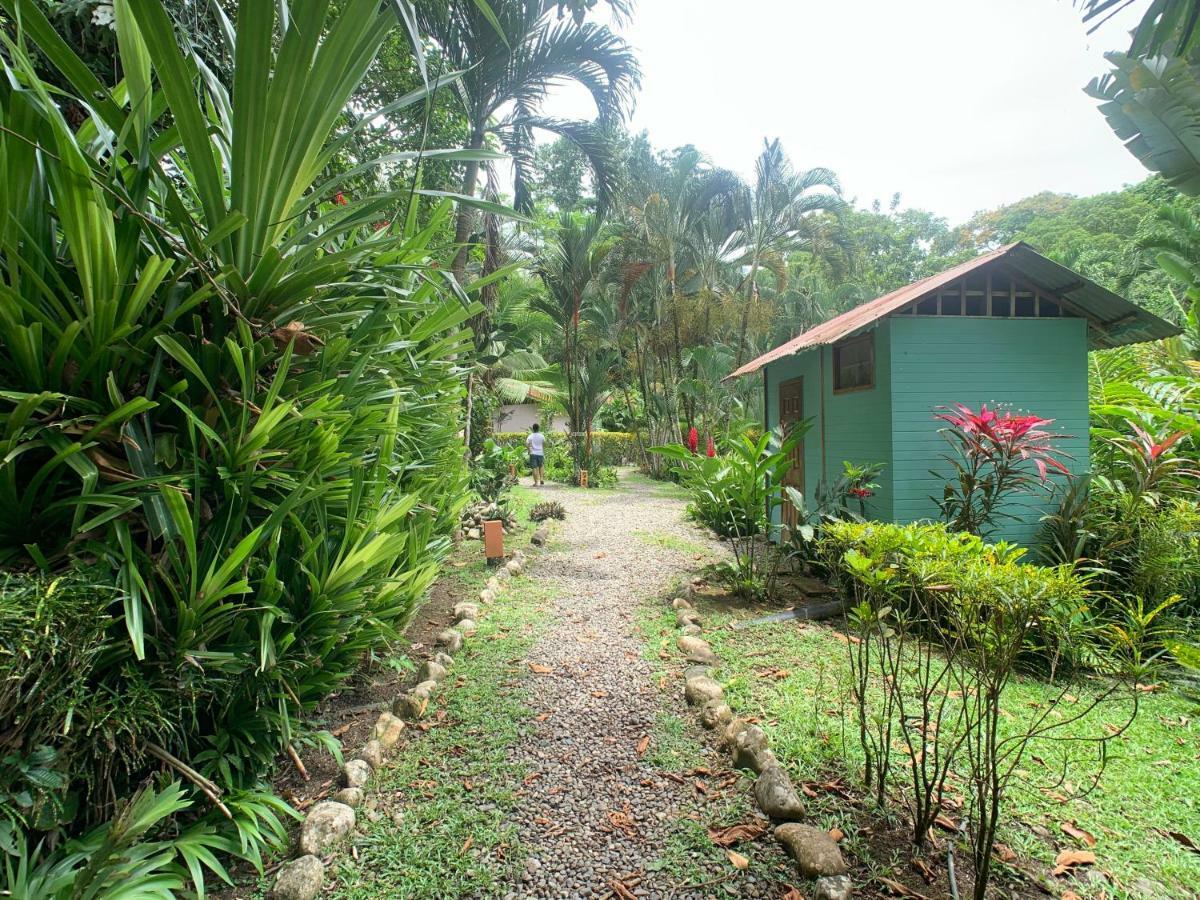 Luna Caribena Village Puerto Viejo de Talamanca Ngoại thất bức ảnh