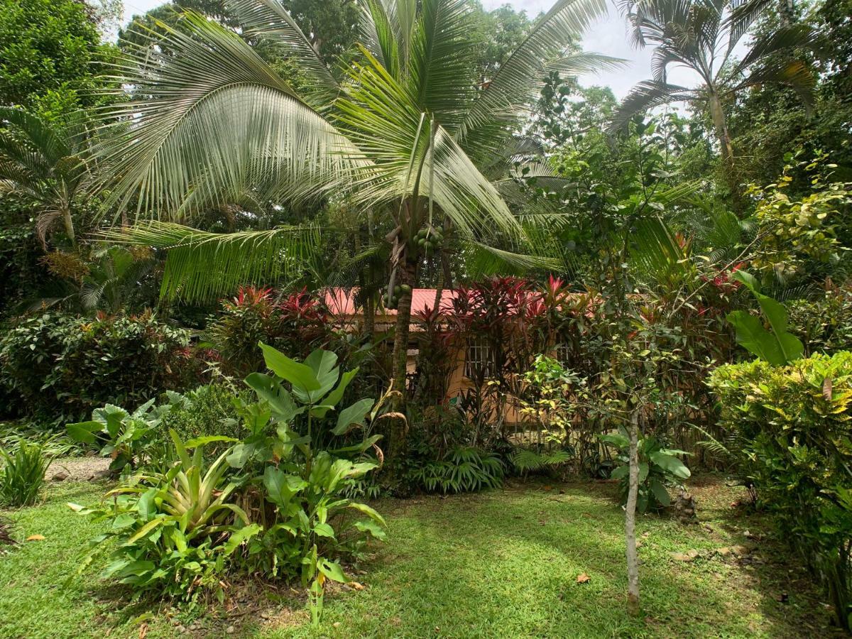 Luna Caribena Village Puerto Viejo de Talamanca Ngoại thất bức ảnh