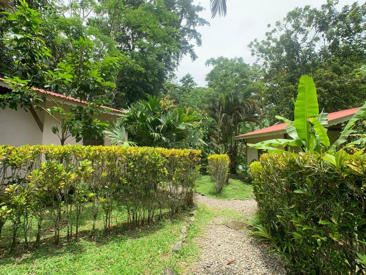 Luna Caribena Village Puerto Viejo de Talamanca Ngoại thất bức ảnh